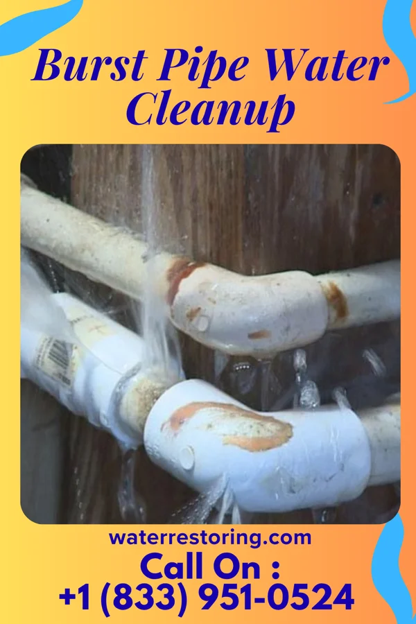 Burst Pipe Water Cleanup in Waverly, MO