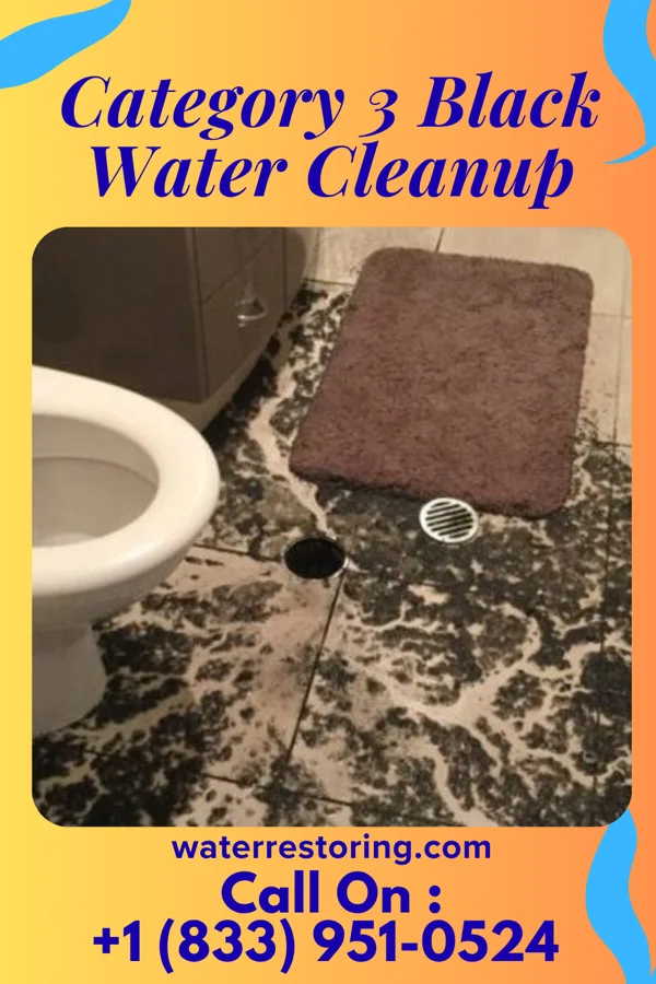 Category 3 Black Water Cleanup in Waverly, MO