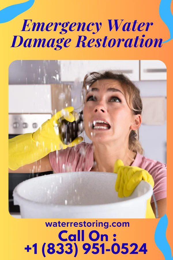 Emergency Water Damage Restoration in Waverly, MO